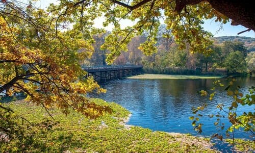 Гомільшанські ліси: історія, факти та що варто побачити