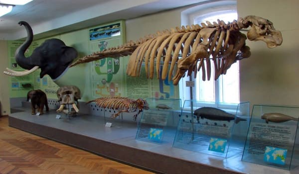 Музей природы Харьков