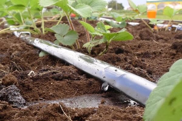 Основні особливості крапельних стрічок